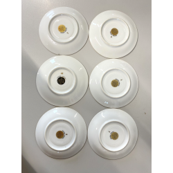 SET 6 TAZZINE CAFFè PORCELLANA RWK Baviera ORO DECORO BOUQUET FIORITO WOODEN BOX