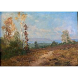 QUADRO DIPINTO OLIO Gigi Comolli PAESAGGIO AUTUNNO COLLINE LAGO MAGGIORE '900