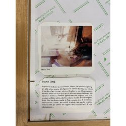 QUADRO DIPINTO OLIO ASTRATTO Mario Tosi  COMPOSIZIONE PESCI BRICOLE VENEZIA '900