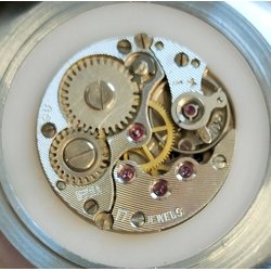 CHAIKA Orologio Polso ЧАЙКА 17 Jewels ANNI 70 meccanico Vintage Wrist Watch URSS