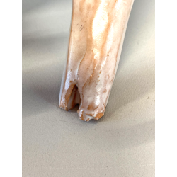 FIGURA ANIMALE CERAMICA MAIOLICA SARDA Salvatore Cossu CINGHIALE ZANNE ORO