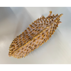 FIGURA ANIMALE CERAMICA MAIOLICA SARDA Salvatore Cossu CINGHIALE ZANNE ORO