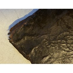 ANTICO DIPINTO OLIO TELA RITRATTO "Giacomo Boccioloni Speziale di Varallo" '800