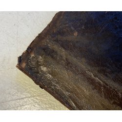 ANTICO DIPINTO OLIO TELA RITRATTO "Giacomo Boccioloni Speziale di Varallo" '800