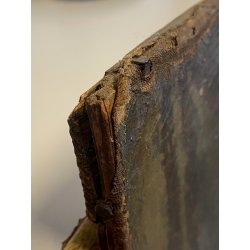 ANTICO DIPINTO OLIO TELA RITRATTO "Giacomo Boccioloni Speziale di Varallo" '800