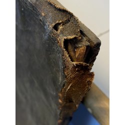 ANTICO DIPINTO OLIO TELA RITRATTO "Giacomo Boccioloni Speziale di Varallo" '800