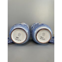 COPPIA VASI DERUTA MAIOLICA CERAMICA ALBARELLO DECORO DIPINTO BLU VASE COFFEINUM