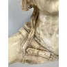 ANTICO BUSTO SCULTURA ALABASTRO Emilio Fiaschi GIOVANE DONNA ART NOUVEAU