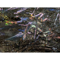 DIPINTO ASTRATTO OLIO TELA Firpo Angioletta "DUE VOLTI DELL' EROE" 50x90 cm 1989