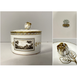 ZUCCHERIERA SCATOLA PORCELLANA PITTORIA DOCCIA Richard Ginori DECORO Fiesole '50