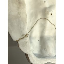 antica GRANDE ACQUASANTIERA ANGELI porcellana bisquit CONCHIGLIA h 27 cm BAROCCA