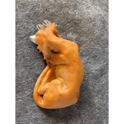 SCULTURA PORCELLANA BISQUIT firmata TRIADE cane LEVRIERO BORZOI 10 cm ceramica