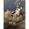 ANTICO QUADRO OLIO TAVOLA A. Soressi GENERE PAESAGGIO PASTORELLE GREGGE CAPRA