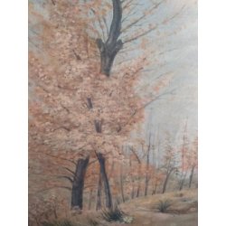 ANTICO QUADRO SANTUARIO DIPINTO BORGOSESIA SANTA CRISTINA VALSESIA ARTE SACRA