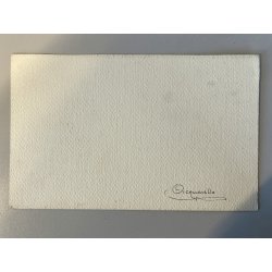 DISEGNO ACQUERELLO CARTONCINO ATTR Gigi Comolli RITRATTO CUCCIOLI Boston Terrier