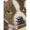 DISEGNO ACQUERELLO CARTONCINO ATTR Gigi Comolli RITRATTO CUCCIOLI Boston Terrier