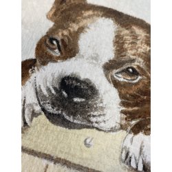 DISEGNO ACQUERELLO CARTONCINO ATTR Gigi Comolli RITRATTO CUCCIOLI Boston Terrier