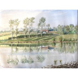 DISEGNO ACQUERELLO CARTONCINO G. Gagiardi PAESAGGIO CAMPAGNA ARONA LAGO MAGGIORE