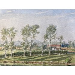 DISEGNO ACQUERELLO CARTONCINO G. Gagiardi PAESAGGIO CAMPAGNA ARONA LAGO MAGGIORE