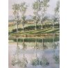 DISEGNO ACQUERELLO CARTONCINO G. Gagiardi PAESAGGIO CAMPAGNA ARONA LAGO MAGGIORE
