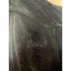 ANTICO DIPINTO OLIO TELA RITRATTO FEMMINILE ELEGANTE GIOVANE NOBILDONNA '800