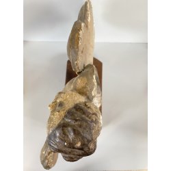 ANTICO PUTTO NUVOLE VOLUTE LEGNO SCOLPITO GESSATO DIPINTO 32cm/h XVII sec. USURA