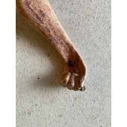 ANTICO CORPUS CHRISTI CRISTO CROCIFISSO 75 cm/h LEGNO SCOLPITO DIPINTO INRI '600