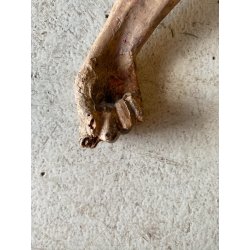 ANTICO CORPUS CHRISTI CRISTO CROCIFISSO 75 cm/h LEGNO SCOLPITO DIPINTO INRI '600