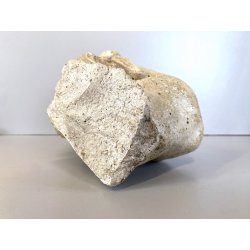 SCULTURA TESTA BAMBINO PUTTO PIETRA ARENARIA STILE BAROCCO NEOCLASSICO XVIII sec