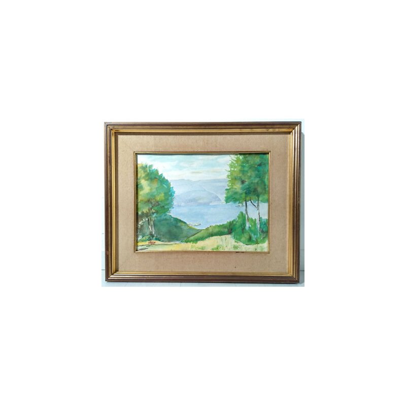 QUADRO ACQUERELLO LEVO LAGO MAGGIORE CRUS DEL GATE FIRMATO SENA DIPINTO 1980