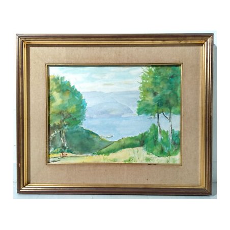 QUADRO ACQUERELLO LEVO LAGO MAGGIORE CRUS DEL GATE FIRMATO SENA DIPINTO 1980