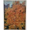 QUADRO DIPINTO olio tela Carlo Monti PAESAGGIO ALBERO AUTUNNO Lago Maggiore