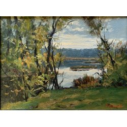 QUADRO DIPINTO OLIO Artino Giroldi PAESAGGIO LACUSTRE SELVA LAGO MAGGIORE '900