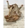 ANTICA SCULTURA LEGNO POLICROMO SANTO SACERDOTE MANCANZE XVIII/XVII sec 85cm/h
