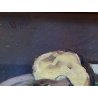 COPPIA ANTICO DIPINTO OLIO TAVOLA Carlo Bini NATURA MORTA FUNGHI FRUTTA '800/900