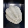VASO VETRO MURANO COSTOLATO INCAMICIATO INCLUSIONI BIANCO OPALINO FOGLIA ARGENTO