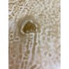 ANTICO PIATTO PARATA CERAMICA Deruta RITRATTO La Bella Giuseppina DECORO