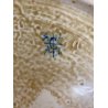 ANTICO PIATTO PARATA CERAMICA Deruta RITRATTO La Bella Giuseppina DECORO