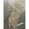 ANTICO QUADRO RITRATTO DIPINTO TEMPERA SU CARTA EPOCA '800 NOBILUOMO STRALCIO