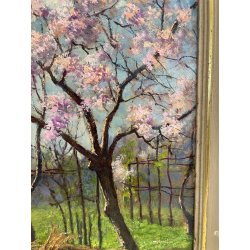 ANTICO QUADRO DIPINTO OLIO SU CARTONE PIOVANO BARTOLOMEO PAESAGGIO CILIEGI 1957