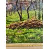 ANTICO QUADRO DIPINTO OLIO SU CARTONE PIOVANO BARTOLOMEO PAESAGGIO CILIEGI 1957