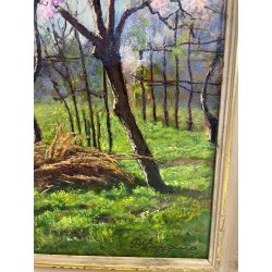 ANTICO QUADRO DIPINTO OLIO SU CARTONE PIOVANO BARTOLOMEO PAESAGGIO CILIEGI 1957