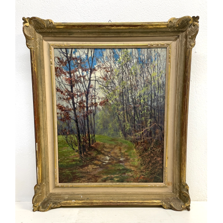ANTICO QUADRO DIPINTO OLIO SU CARTONE PIOVANO BARTOLOMEO PAESAGGIO BOSCO 1972