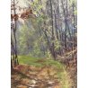 ANTICO QUADRO DIPINTO OLIO SU CARTONE PIOVANO BARTOLOMEO PAESAGGIO BOSCO 1972
