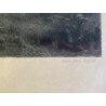 ANTICA STAMPA INCISIONE Après le combat (Le soir) MILITARIA GOUPIL PARIGI '800