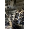 TAVOLA  ILLUSTRAZIONE ORIGINALE TEMPERA V. Novelle Enzo Magni (Ingam)  1950