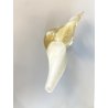 SCULTURA VETRO Murano SOMMERSO TRASPARENTE FOGLIA ORO FAGIANO GALLO PAVONE '50s