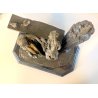 SCULTURA NEOCLASSICA BRONZO FIRMATA "Milo" SCENA FIGURE FEMMINILI PARIS '900