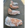 LOTTO 4 MENSOLA ARCHITETTONICA TERRACOTTA FIGURA BUSTO ANGELO PUTTO BAROCCO '800