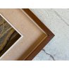 ANTICO QUADRO DIPINTO OLIO TAVOLA PAESAGGIO BOSCHIVO AUTUNNALE BOSCO BETULLE 900